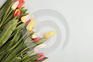 Concept of spring, Women`s Day, Mother`s Day, 8 March, the holiday greetings