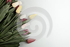 Concept of spring, Women`s Day, Mother`s Day, 8 March, the holiday greetings