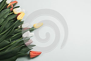 Concept of spring, Women`s Day, Mother`s Day, 8 March, the holiday greetings