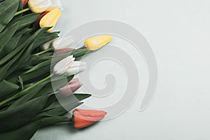 Concept of spring, Women`s Day, Mother`s Day, 8 March, the holiday greetings