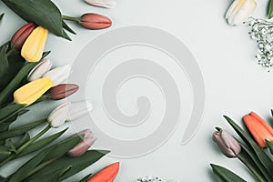 Concept of spring, Women`s Day, Mother`s Day, 8 March, the holiday greetings