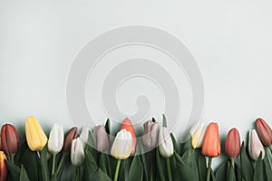 Concept of spring, Women`s Day, Mother`s Day, 8 March, the holiday greetings