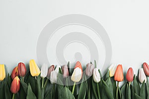 Concept of spring, Women`s Day, Mother`s Day, 8 March, the holiday greetings