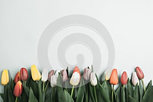 Concept of spring, Women`s Day, Mother`s Day, 8 March, the holiday greetings