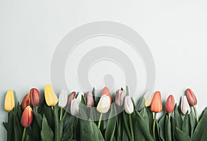 Concept of spring, Women`s Day, Mother`s Day, 8 March, the holiday greetings