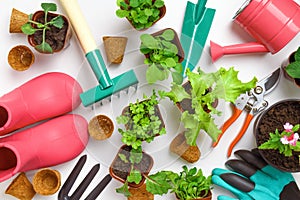 The concept of spring work and gardening. Tools and plants on the table