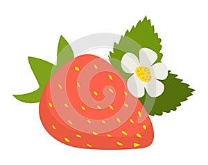 Concept strawberry icon with green leaf, wild flower sweet delicious red fruit flat vector illustration, isolated on