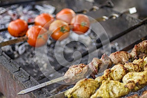 The concept of street food: grilled tomatoes and meat