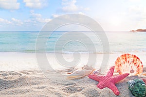 Concept of summertime on tropical beach photo