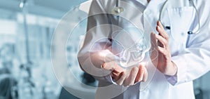 Concept of support for artificial insemination