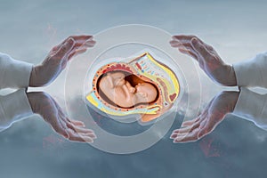 Supporting the health and development of the human embryo