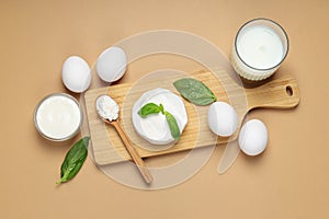 Concept of tasty food - different dairy products