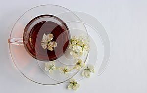 The concept of tea. A glass Cup on a saucer with flower tea and white flowers stands on a white background. Space for your text