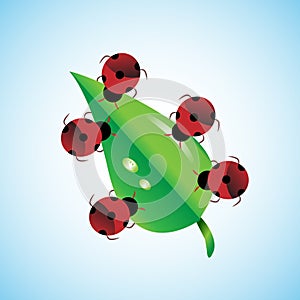 Concept of teamwork. Bugs together carrying leaf, this also represent unity, togetherness, strength, handwork, helping others, sma