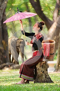 Concept of Thai culture images of elephants and women wearing silk