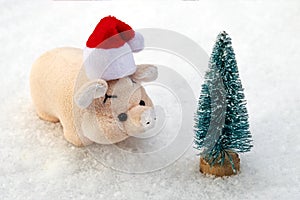 Concept on the theme of celebrating a happy new year and winter holidays. A little pink pig in a red Santa Claus hat stands on