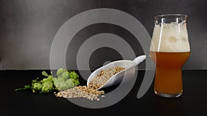 Concept on the topic of brewing beer with hops, malt and a glass of craft beer photo