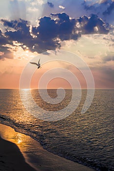 The concept of travel and rest at the seaside, sea waves on the background of the shoreline and sunset