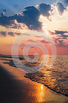 The concept of travel and rest at the seaside, sea waves on the background of the shoreline and sunset