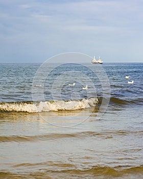 The concept of travel and rest at the seaside, sea waves on the background of the shoreline and sunset