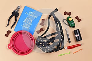 Concept of travelling with dogs with made up blue dog passport next to various dog supplies including training clicker, treats