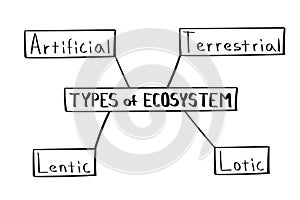 Concept of types of ecosystem mind map in handwritten style