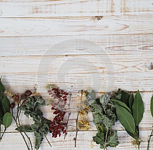 The concept of using medicinal dried herbs. Wooden white background with different medicinal herbs. Phytotherapy with herbs and