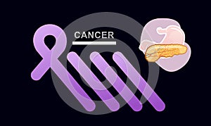 concept vector banner human pancreas