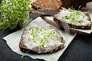 Concept of vegetarian and healthy eating. Micro greens salad and black bread