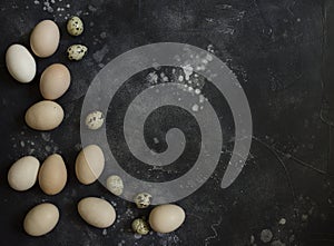 Composition of chicken and quail eggs at black background