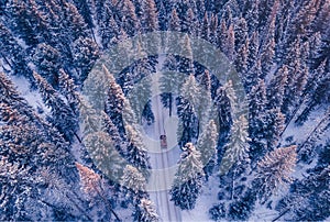 Concept winter travel, aerial view. Red car driving on winding road through snowy forest, toning blue