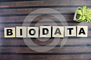 Concept of The wooden Cubes with the word Biodata on wooden background