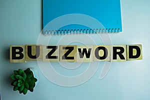 Concept of The wooden Cubes with the word Buzzword on wooden background