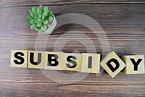 Concept of The wooden Cubes with the word Subsidy on wooden background