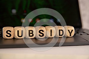 Concept of The wooden Cubes with the word Subsidy on wooden background