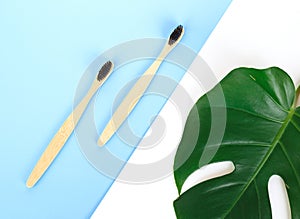 The concept of zero waste. bamboo toothbrush and manstera leaf