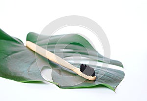 The concept of zero waste. bamboo toothbrush on a manstera leaf