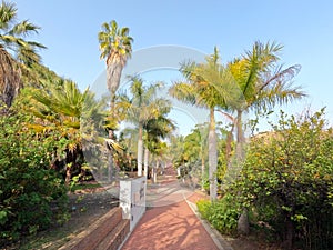 Conception garden, Jardin la concepcion in Malaga with palm trees alley, Spain, Europe