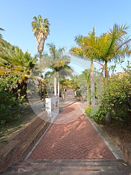 Conception garden, Jardin la concepcion in Malaga with palm trees alley, Spain, Europe