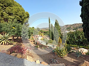 Conception garden, Jardin la concepcion in Malaga with tropical and subtropical flowers and trees, Spain, Europe