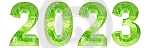 Conceptual 2023 year made of green water font isolated on white background. An abstract 3D illustration as a metaphor