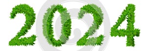 Conceptual 2024 year made of green summer lawn grass symbol isolated on white background. 3d illustration as a metaphor