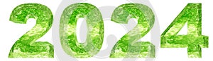 Conceptual 2024 year made of green water font isolated on white background.