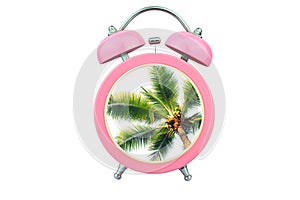 Conceptual art time to relax : coconut tree within pink alarm clock isolated on white background