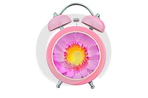 Conceptual art time to relax : pink waterlily pollen within pink alarm clock isolated on white background