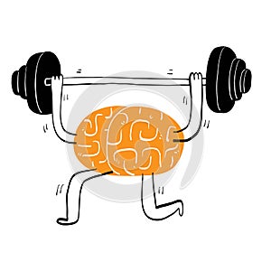 Conceptual the brain lifting a barbell for exercise