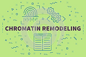 Conceptual business illustration with the words chromatin remodeling