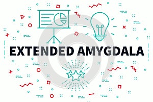 Conceptual business illustration with the words extended amygdala photo