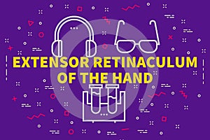 Conceptual business illustration with the words extensor retinaculum of the hand