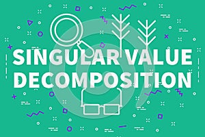 Conceptual business illustration with the words singular value d